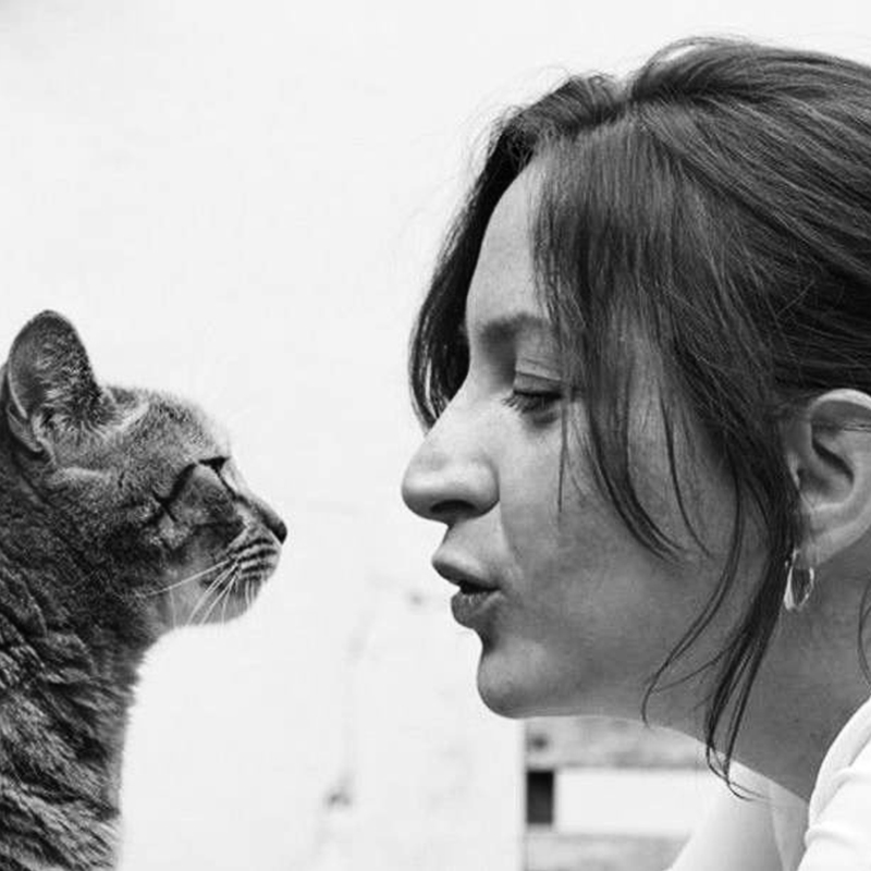 CHARLOTTE DE MOUZON Charlotte De Mouzon professionnel dans le domaine de l'éthologie du chat